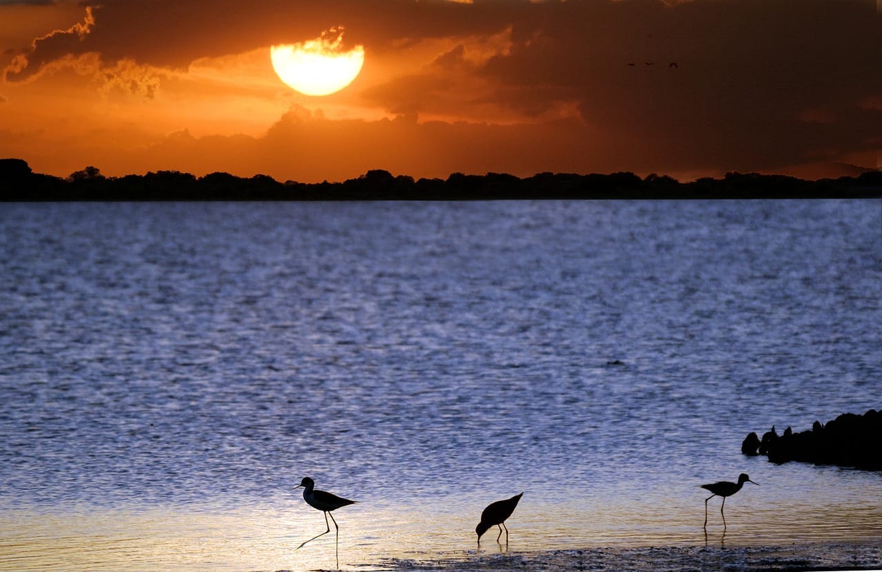 Sztuka sakralna Hiszpanii – przewodnik po kościołach blog-turystyczny (229)