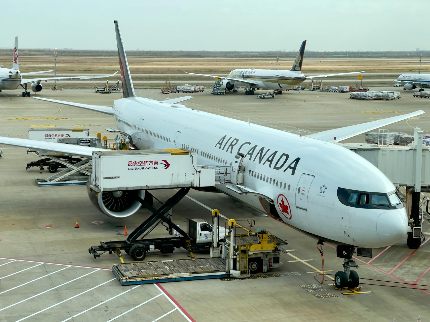 Samolot Air Canada na płycie lotniska wśród innych maszyn